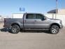 2014 Sterling Gray Metallic Ford F-150 FX4 (1FTFW1EF5EF) with an 5.0 8 Cylinder Sequential Multiport Fuel Injection engine, Automatic transmission, located at 1401 N. Hobart, Pampa, TX, 79065, (806) 665-9872, 35.549641, -100.971878 - Photo #2