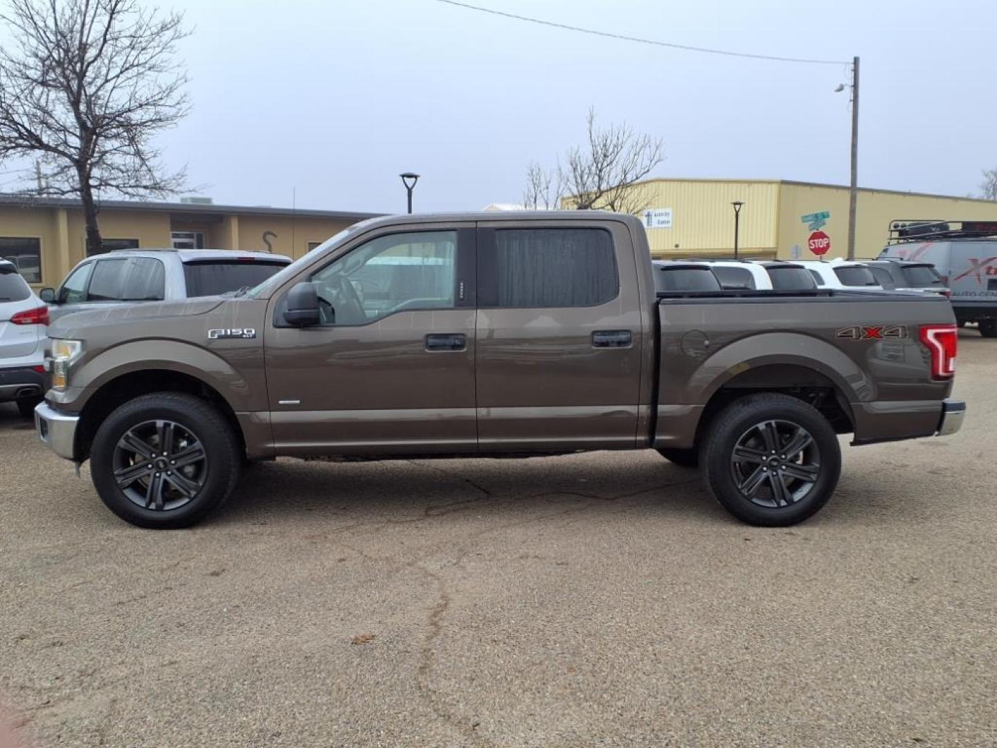 2015 Caribou Metallic H5 Ford F-150 XLT (1FTEW1EG9FF) with an 3.5L EcoBoost 3.5L Twin Turbo V6 365hp 420ft. lbs. Direct Injection engine, 6-Speed Shiftable Automatic transmission, located at 1401 N. Hobart, Pampa, TX, 79065, (806) 665-9872, 35.549953, -100.975098 - Photo#4