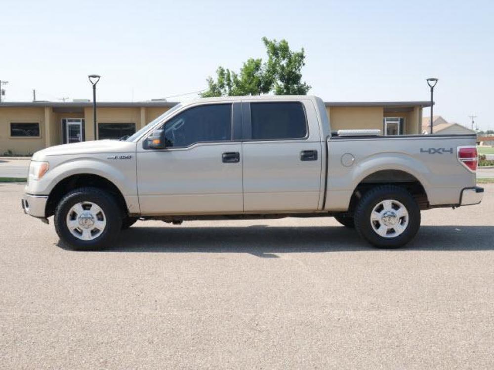 2009 Pueblo Gold Clearcoat Metallic Ford F-150 XLT (1FTPW14V39K) with an 5.4 8 Cylinder Sequential Multiport Fuel Injection engine, Automatic transmission, located at 1401 N. Hobart, Pampa, TX, 79065, (806) 665-9872, 35.549641, -100.971878 - Photo #4