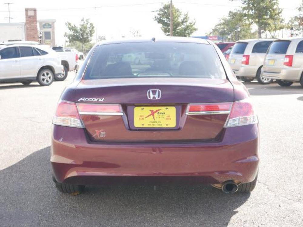 2012 Basque Red Pearl Ii Honda Accord EX-L (1HGCP2F82CA) with an 2.4 4 Cylinder Sequential Multiport Fuel Injection engine, Automatic transmission, located at 1401 N. Hobart, Pampa, TX, 79065, (806) 665-9872, 35.549641, -100.971878 - Photo #3