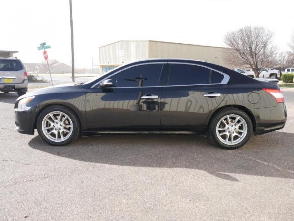 2009 Super Black Nissan Maxima 3.5 S (1N4AA51E09C) with an 3.5 6 Cylinder Sequential Multiport Fuel Injection engine, Automatic transmission, located at 1401 N. Hobart, Pampa, TX, 79065, (806) 665-9872, 35.549641, -100.971878 - Photo #4