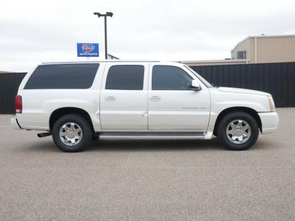 2005 White Diamond Cadillac Escalade ESV Base (3GYFK66N85G) with an 6.0 8 Cylinder Fuel Injected engine, Automatic transmission, located at 1401 N. Hobart, Pampa, TX, 79065, (806) 665-9872, 35.549641, -100.971878 - Photo #2